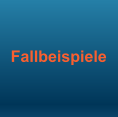 Fallbeispiele