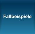 Fallbeispiele